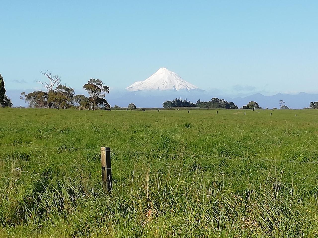ホテル The Little Gem Waitara エクステリア 写真